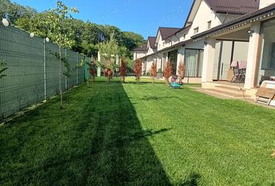 Casa de vanzare, Strejnicu, jud. Prahova - 6