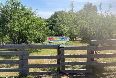 Casă cu 4 camere cu Teren 2000 Mp în Cocu - 2
