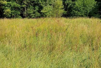 TEREN INTRAVILAN ÎN MARGA-LA DN68 JUD.CARAȘ-SEVERIN - 8