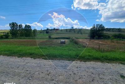 Teren de 2000 mp, în Central - 6