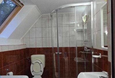 Casa/Pensiune,doua imobile intr-unul singur de vanzare, Valea Bratcu - 2