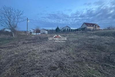 Spațiu comercial, în Paleu - 6