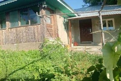 Casă cu 3 camere cu Teren 1096 Mp în Cășăria - 3