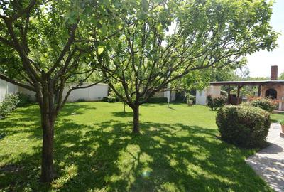 Vila Superba Buftea | Teren 1081 mp - 38