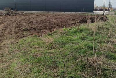 Teren de 15000 mp, în Gălășești (Suseni) - 3