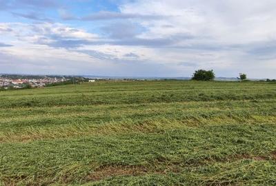 Spațiu comercial, în Central - 2