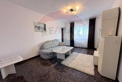 Apartament 2 camere-Inchiriere- zona Pia?a Vasile Aron, ... - 10