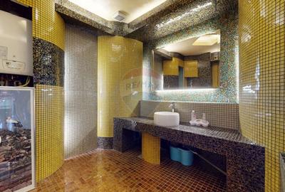 Birouri top de inchiriat in Brasov, spatiu premium ultracentral - 10