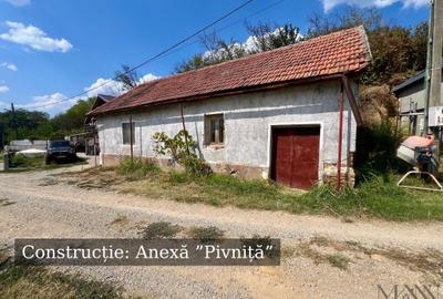 Pivnita + parcela de vie | de vanzare | Uileacu de Cris, Bihor