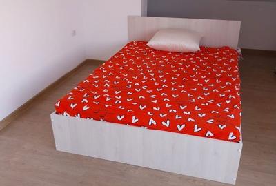 Apartament cu 3 camere decomandat în Pâclișa - 5