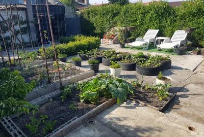 Casă cu 7 camere cu Teren 311 Mp în Central - 4