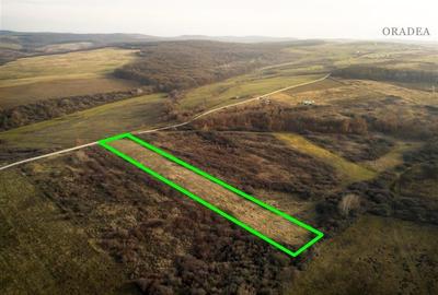 RECO . Teren extravilan . Uileacul de munte - 3