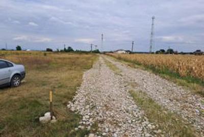Teren de 459 mp, în Ilfoveni - 3