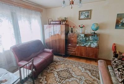 CASA + Casuta - DE VANZARE in Baia Sprie - 13