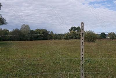 Teren de 4712 mp, în Dumbrăveni