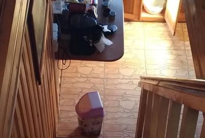 Casă cu 2 camere în Dealu Negru - 5