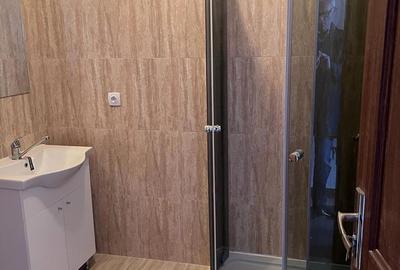 Vand casa Faget Vand casa Faget - 9