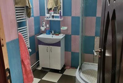 Casă cu 3 camere cu Teren 4400 Mp în Hobița - 4