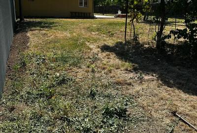 Propietar vand Casa Vadu Anei Branesti 1480 m2 , Gaze , Curent , Put , fosa centrala - 5