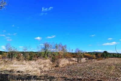 TEREN INTRAVILAN ȘI EXTRAVILAN BAIA DE FIER - 5