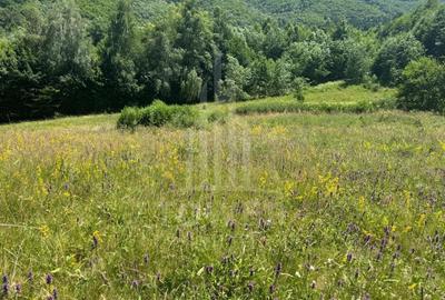 Teren intravilan 4600mp - 55 EUR/mp - EXCLUSIVITATE CISNADIOARA - COMISION 0% - 10