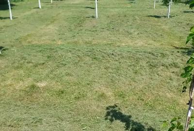 Casa noua 2024 | Teren 2.200 mp | Deschidere DN | 10 min Sibiu - 5