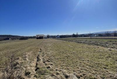 Teren de 60000 mp, în Exterior Vest - 3