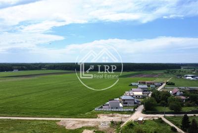 Teren Construcții intravilan de 25000 mp, în Dascălu - 6