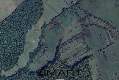 Teren agricol extravilan de 21000 mp, în Cisnădie - 3