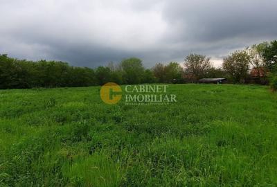 Casă individuală cu 3 camere cu Canalizare în Prisăcani - 8