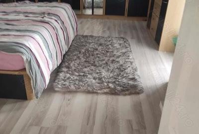 Casa pe un nivel,teren 464mp - 12