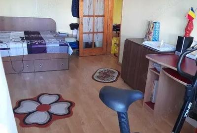 Ap 2 camere Viorelelor Bacau, spatios luminos aproape de lac si insula - 3