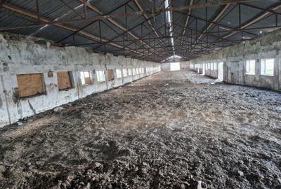 Spațiu comercial, în Cămărașu - 5