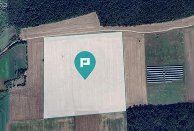 13ha de teren compact Ianova-Bencec - 3