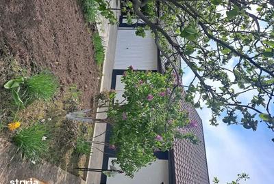 Casă cu 3 camere cu Teren 700 Mp în Ciurea - 13