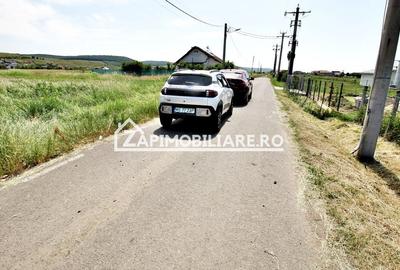 Teren Intravilan 4000mp Ernei cu deschidere la drum asfaltat - 3