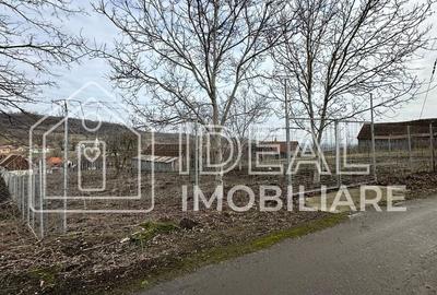 Teren de 1334 mp, în Tilișca - 10