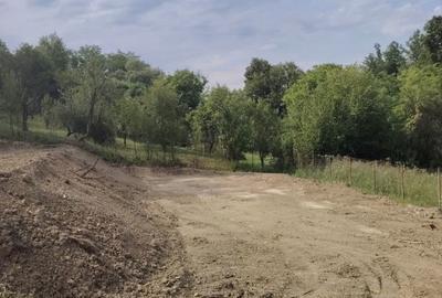 Spațiu comercial, în Provița de Jos - 2