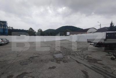 De inchiriat spatiu comercial/hala 1000 mp,curte privata,ora - 4