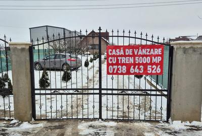 Casă cu 5 camere cu Teren 5000 Mp în Vidra - 1