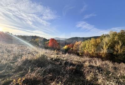 Teren de vanzare la drum asfaltat Ramet - 4