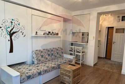 Inchiriere Garsoniera Regina Elisabeta - 10