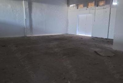 Spațiu comercial, de 120 mp, în Industriilor - 2