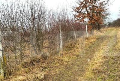 Teren de 2900 mp, în Central - 5