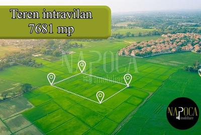 Teren Construcții intravilan de 7681 mp, în Borhanci - 1