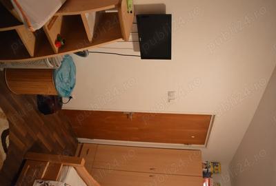 Apartament cu 2 camere semidecomandat în Colentina - 3