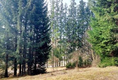 Teren intravilan în Poiana Brașov, strada Poiana Ruia - 5
