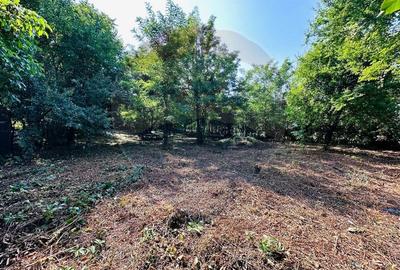 Teren intravilan 1500mp in Livedea, Ialomita - 13