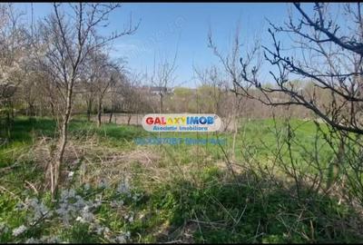 Casă cu Teren 1074 Mp în Central - 4