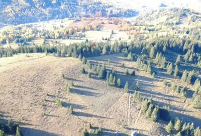 Teren de 47732 mp, în Panaci - 5